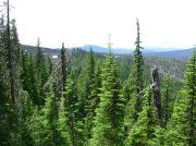 Summer '06 Sunriver 516 